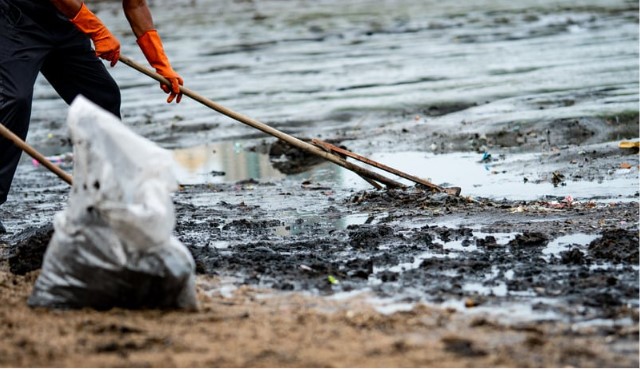 : Beach safety and environmental awareness symbolizing shared responsibility.